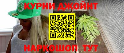 сатива Коммунар
