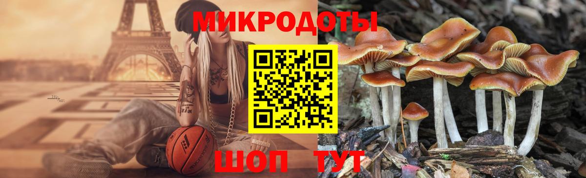 Галлюциногенные грибы прущие грибы Качканар