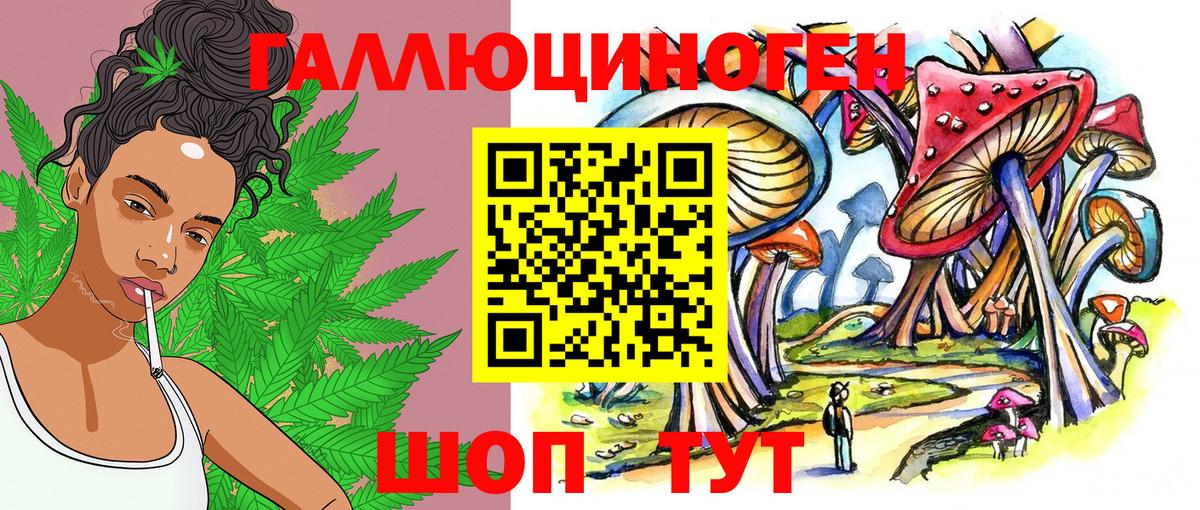 Качканар  Псилоцибиновые грибы прущие грибы  Вход с VPN 